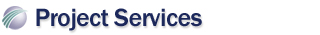 SAP Project Services