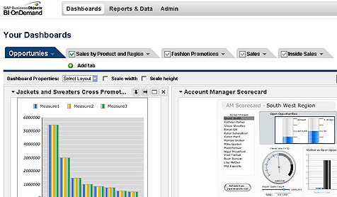SAP BI OnDemand SaaS Salesforce SAP BI OnDemand SaaS Salesforce