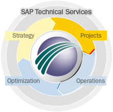 SAP Technical Services