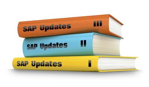 How to plan an upgrade to SAP ERP 6.0. (graphic: grasundsterne) SAP ERP 6.0 at a Fixed Price EHP 5