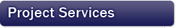 SAP Project Services
