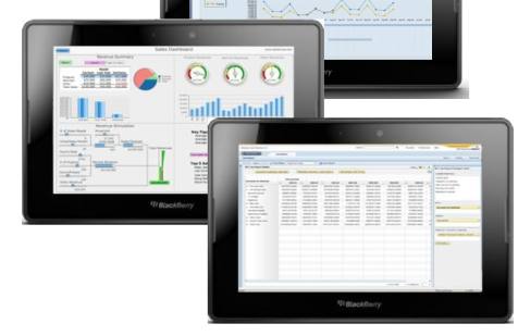 SAP_EPM_Playbook At SAPPHIRE NOW, the SAP BusinessObjects EPM 10 solutions were demonstrated on the BlackBerry Playbook (screenshot: SAP AG)