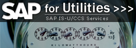 SAP for Utilities Consulting Services. SAP IS-U/CCS Consulting and Staffing.